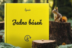 Sbírka Jedna báseň | ŠPACÍR