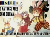 ohnicek-06