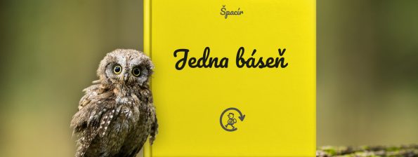 Sbírka Jedna báseň | ŠPACÍR – 100 km / 24 h
